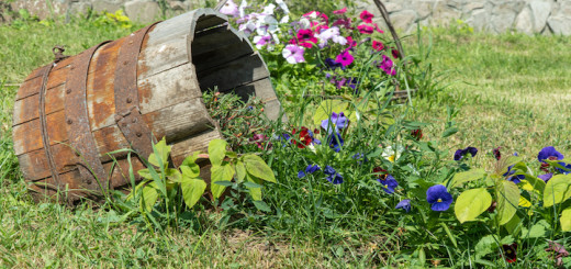 flower bed made from an old wooden bucket. flower decorations in the Park